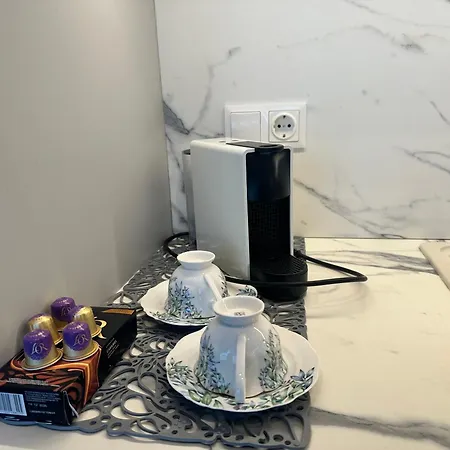 Apartament Solemi Druskieniki